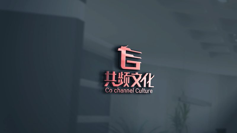 企业宣传纪录片：揭秘拍摄报价背后的考量因素