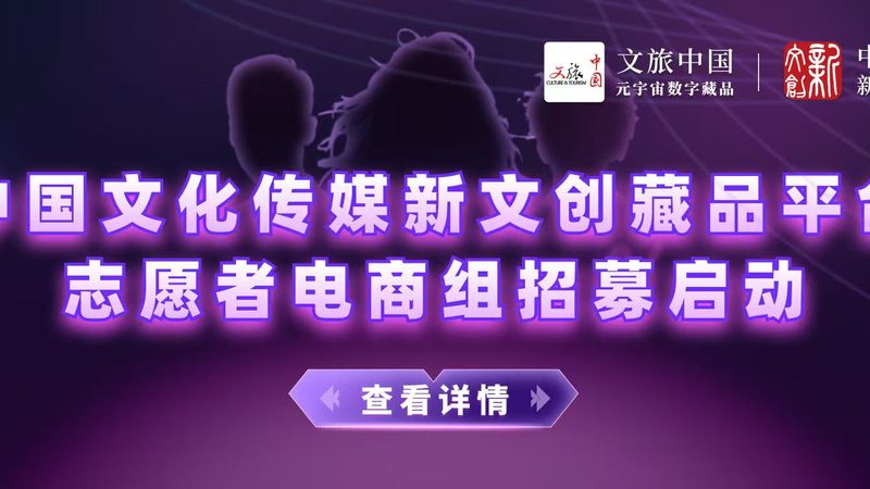 家居小红书代运营：案例分析揭秘成功之道